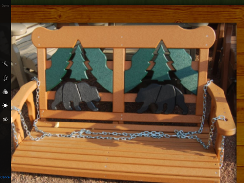 4' Swing with Chains