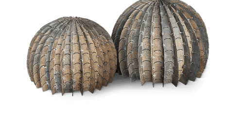 Cactus Barrels