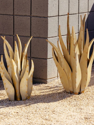 Desert Steel's Metal Emperor Agave
