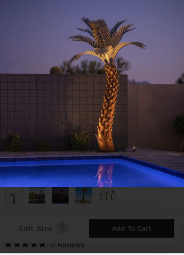 Palm Fronds