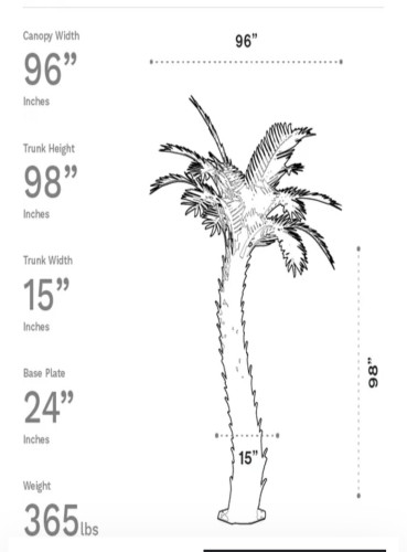 Palm Fronds