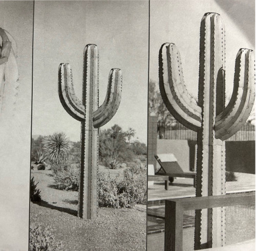 Saguaro Torch