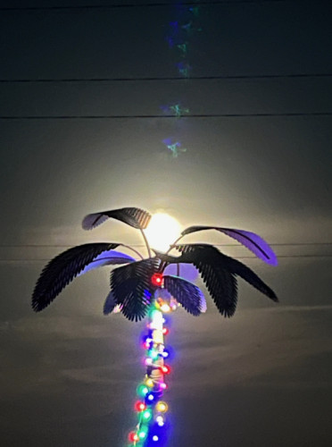 Palm Tree Light