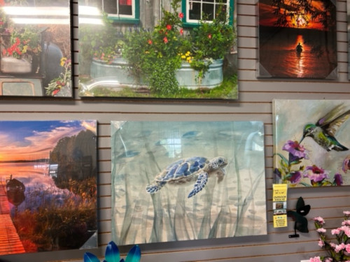 Nature-Inspired Wall Art Collection