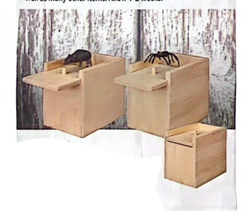 Surprise Box